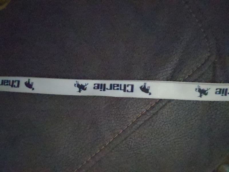 Review photo from Rachel C.